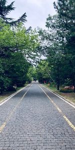 Road by trees in city against sky