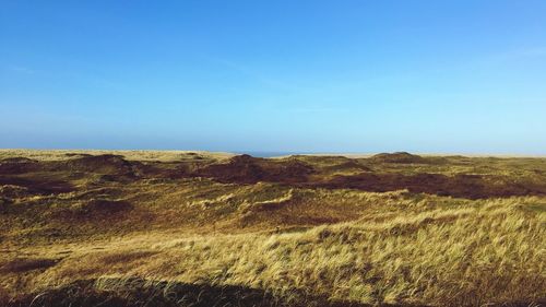 Scenic view of landscape against clear blue sky