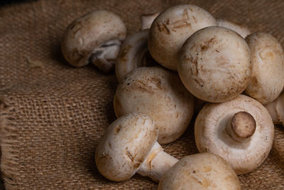 Close-up of mushrooms on table