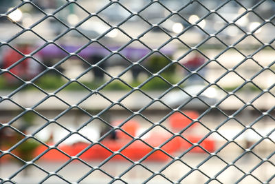 Close-up of chainlink fence