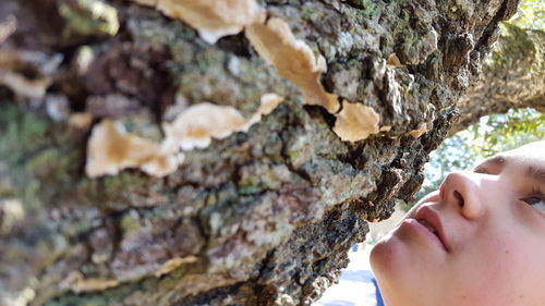 Close-up of hand holding rock formation