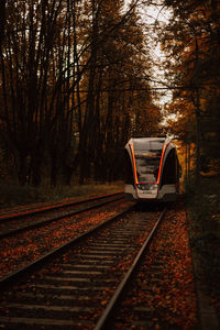 Railroad tracks in forest during autumn
