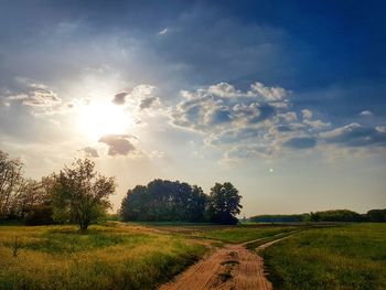 Scenic view of field against sky during sunset