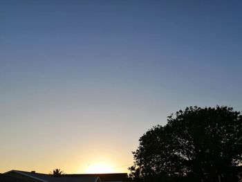 Low angle view of silhouette trees against clear sky during sunset