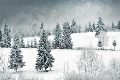Winter landscape with snowy trees and snowflakes. christmas concept