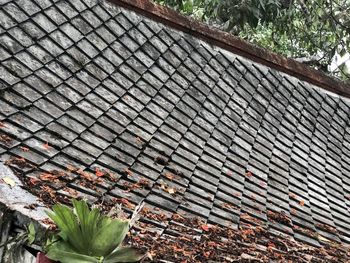 High angle view of leaves on roof of building