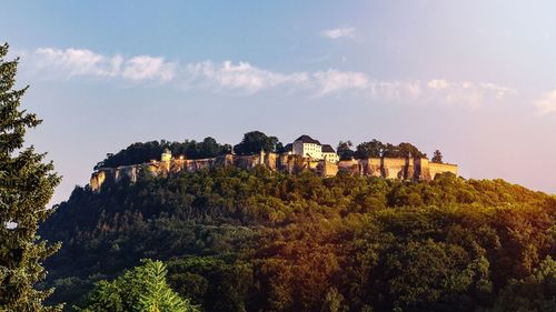Plants by historic building against sky