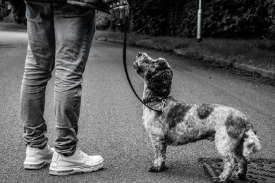 Low section of man with dog standing on street