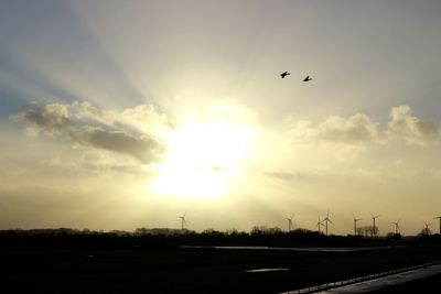 Birds flying against sky during sunset