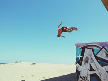 Low angle view of bird flying over beach