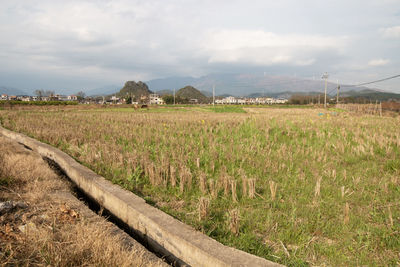 landscape