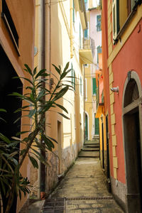 Narrow alley amidst buildings