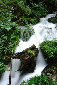 Scenic view of waterfall in forest