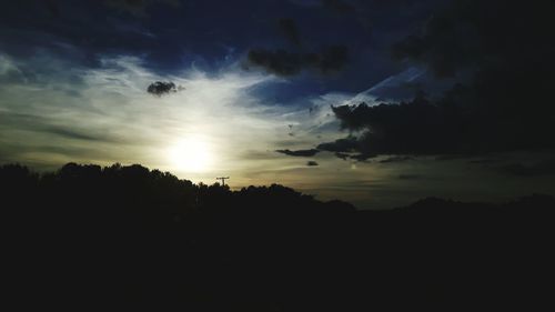 Silhouette of trees at sunset