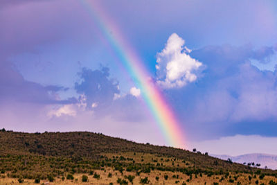 rainbow