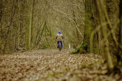 Rear view of man walking on footpath in forest