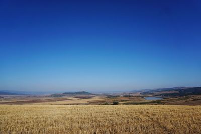 Scenic view of field against clear blue sky