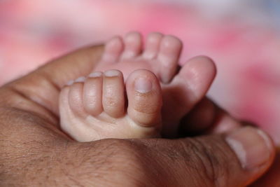 Low section of baby feet