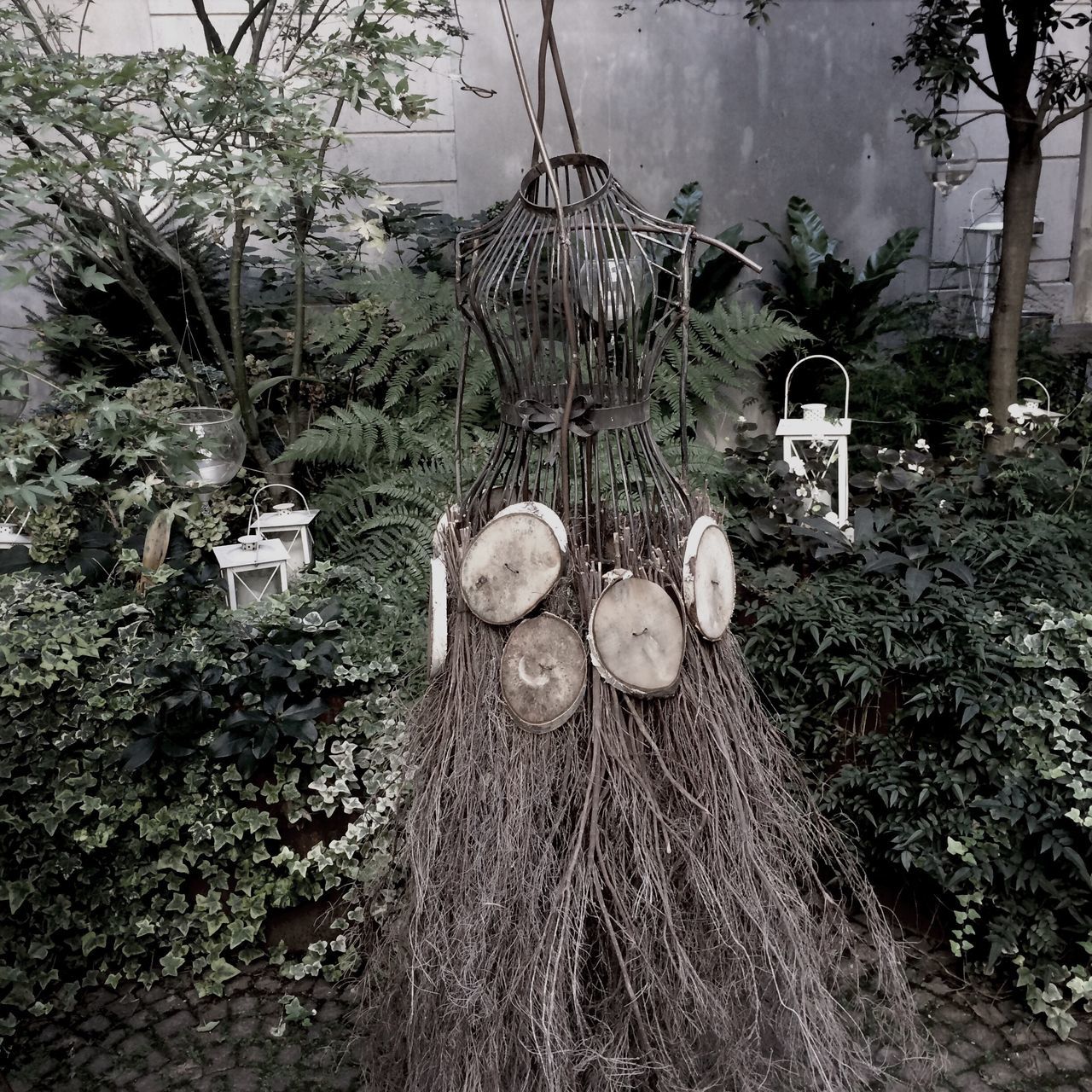 tree, growth, plant, field, day, nature, abandoned, no people, tranquility, outdoors, old, sky, growing, branch, sunlight, tree trunk, bare tree, wood - material, front or back yard, built structure