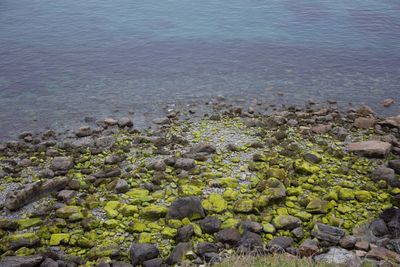 High angle view of pebbles on beach