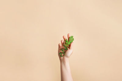 Hand with green branch on beige background.