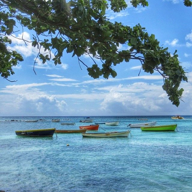 nautical vessel, sea, water, boat, transportation, horizon over water, mode of transport, sky, tree, tranquility, tranquil scene, moored, beauty in nature, scenics, nature, blue, waterfront, cloud - sky, beach, day