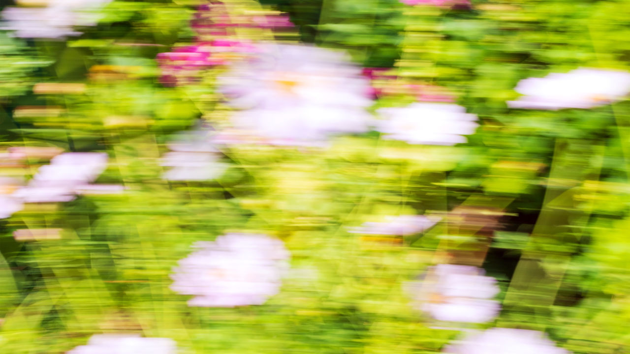 green, blurred motion, leaf, flower, motion, grass, sunlight, backgrounds, no people, nature, tree, defocused, plant, outdoors, day, yellow, autumn, full frame, abstract, beauty in nature