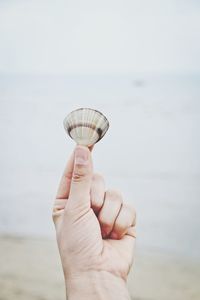 Close-up of cropped hand