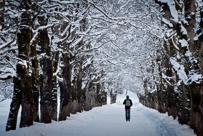 Rear view of man walking on snow covered field amidst trees