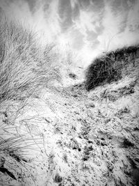 Scenic view of field against sky during winter