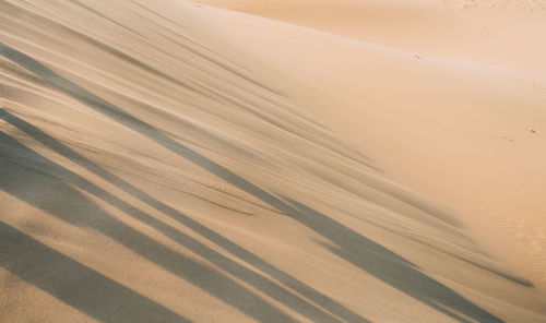 High angle view of sand dune