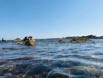 Scenic view of sea against clear blue sky