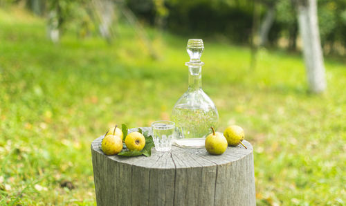 Fruits on table in field