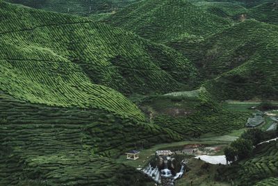 Scenic view of green landscape