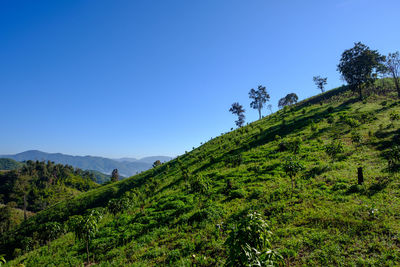 Scenic view of mountains against clear blue sky