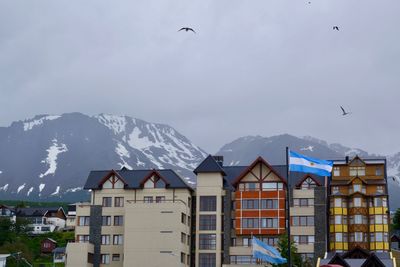 Birds flying over houses against sky