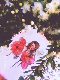 Close-up of red flowering plant