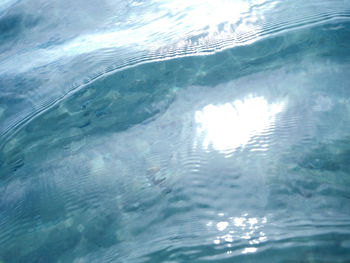 Reflection of trees in water