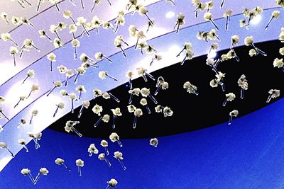 Low angle view of tree against blue sky