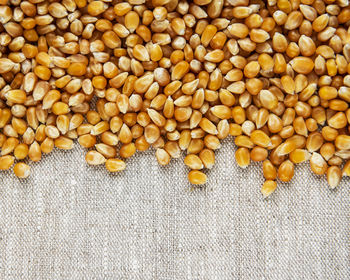 Dry corn seeds on a old textile background
