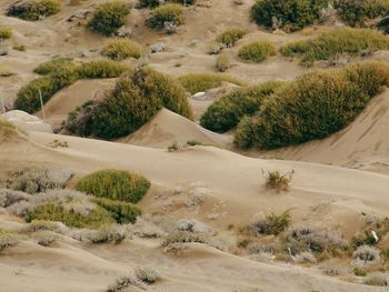 Scenic view of desert against sky