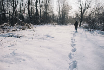 Man walking on snow covered trees