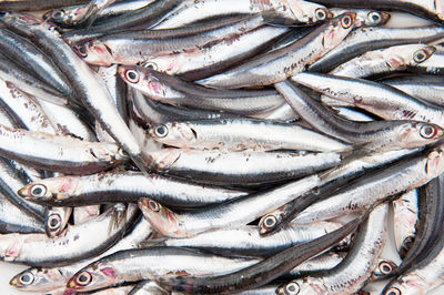 Close-up of fish for sale in market