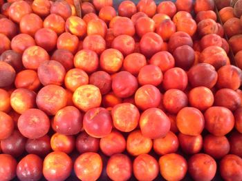 Full frame shot of red chili peppers