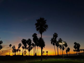 Silhouette of palm trees during sunset