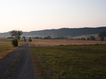 Scenic view of field against clear sky