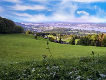 Scenic view of field against sky