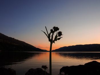 Silhouette tree by lake against sky during sunset