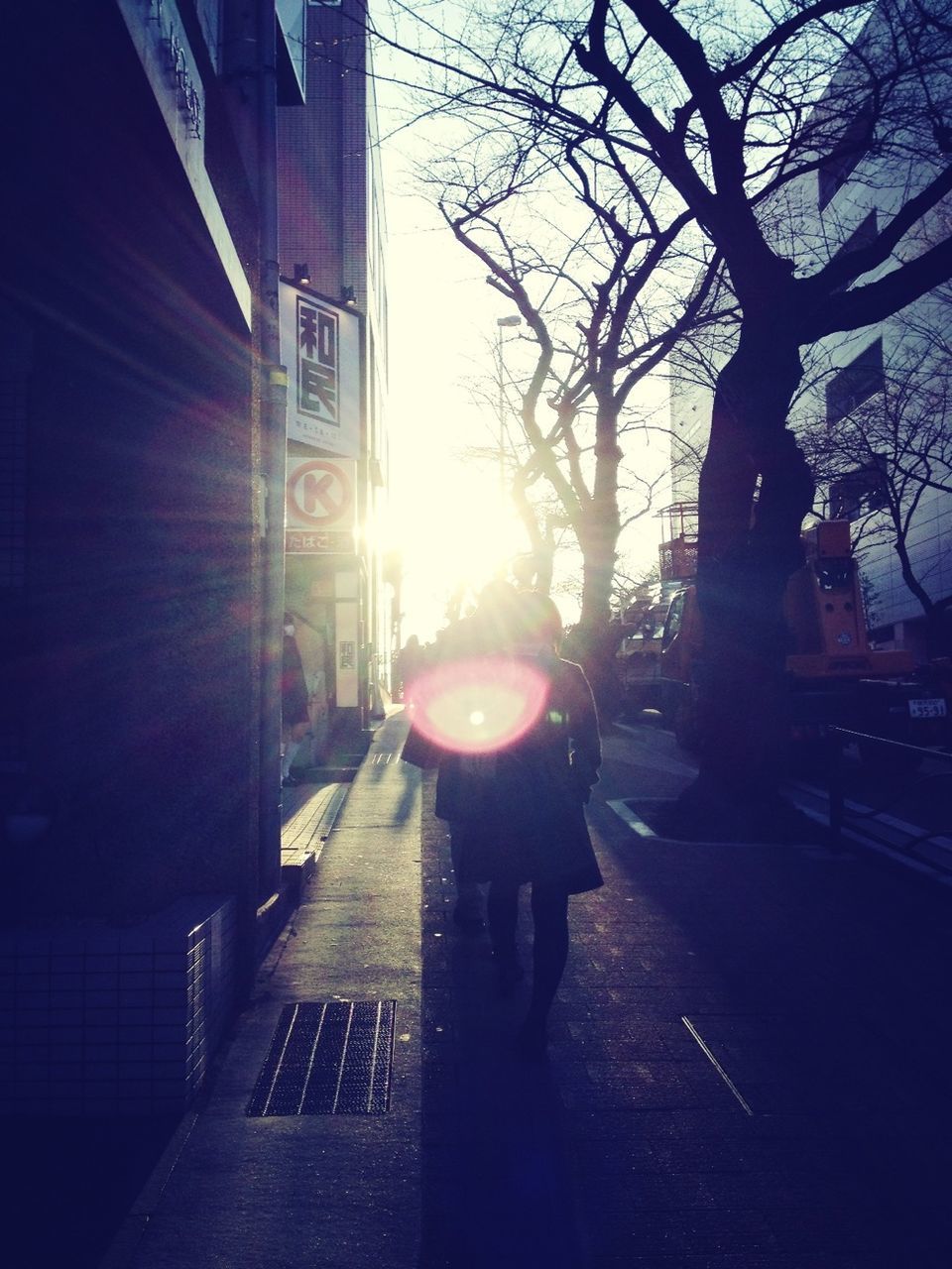 full length, lifestyles, the way forward, walking, sunlight, architecture, built structure, sun, lens flare, bare tree, rear view, sunbeam, street, building exterior, tree, silhouette, leisure activity, men