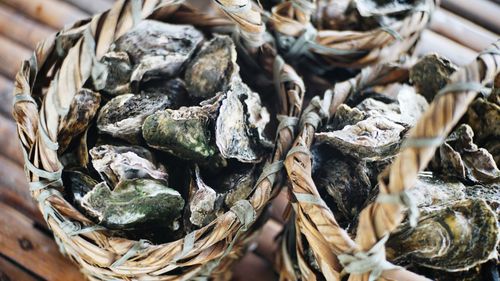 Close-up of oyster in a basket 